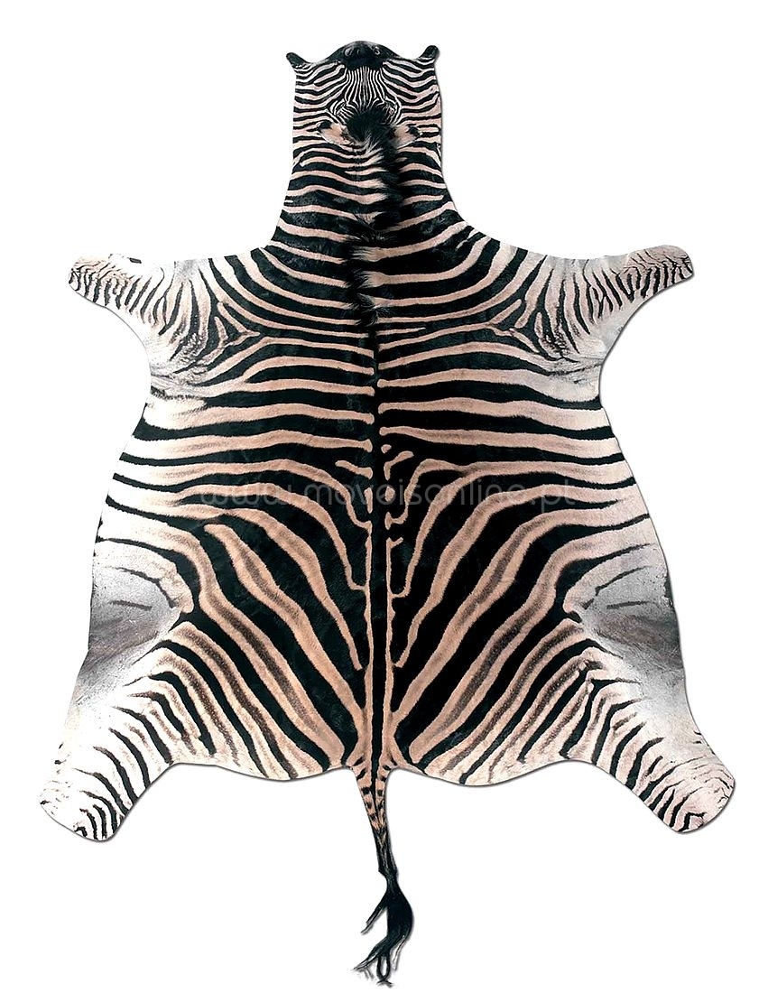 Шкура зебры натуральная